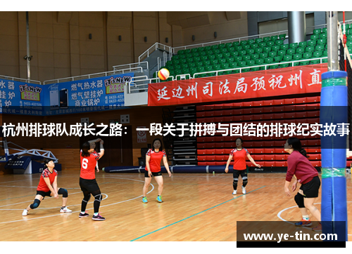 杭州排球队成长之路：一段关于拼搏与团结的排球纪实故事