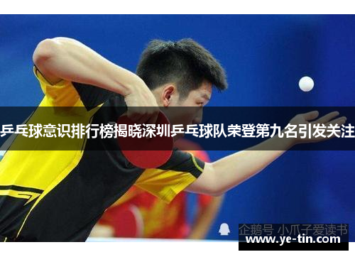 乒乓球意识排行榜揭晓深圳乒乓球队荣登第九名引发关注