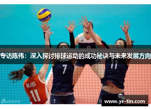 专访陈伟：深入探讨排球运动的成功秘诀与未来发展方向